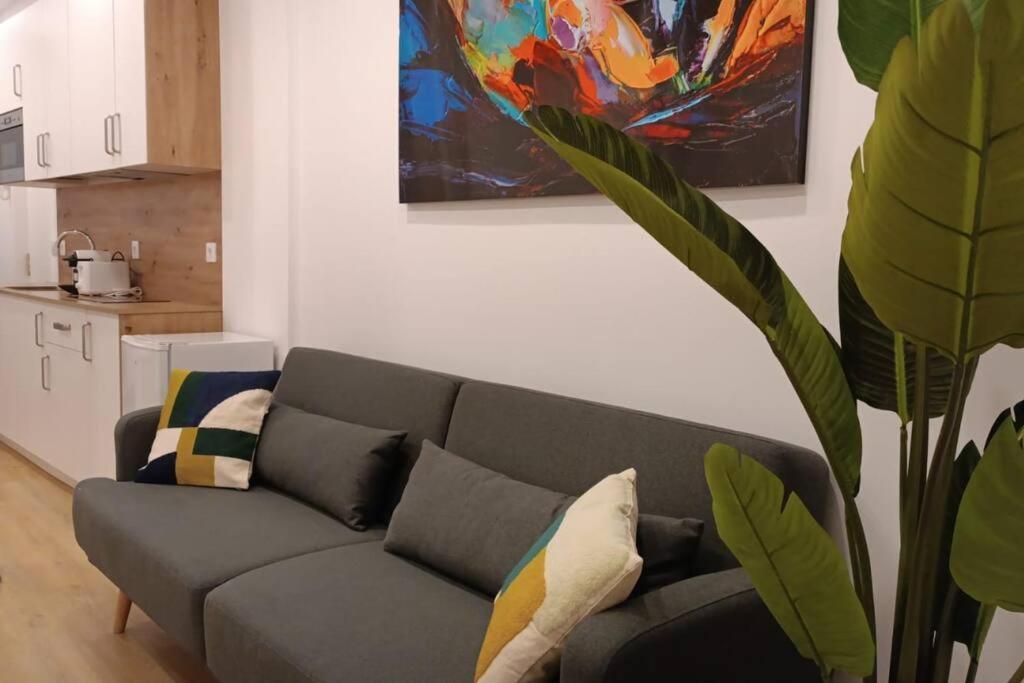 Coqueto Apartamento En Lavapies Madri