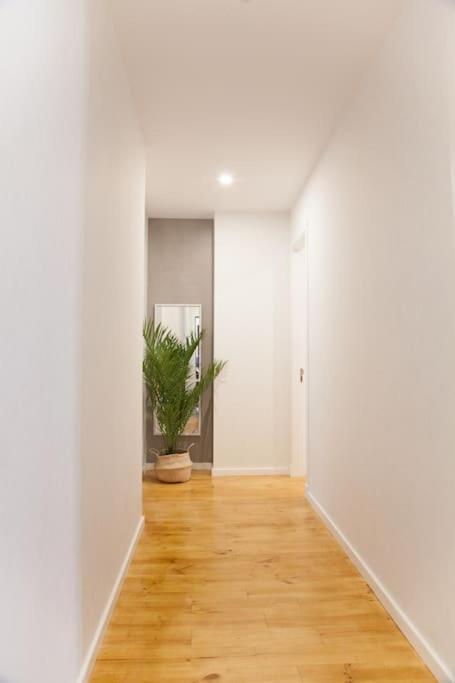 Apartamento En El Centro La Ciudad Apartment *