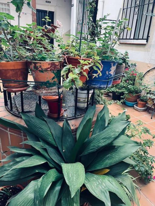 Apartamento Downtown And Museums