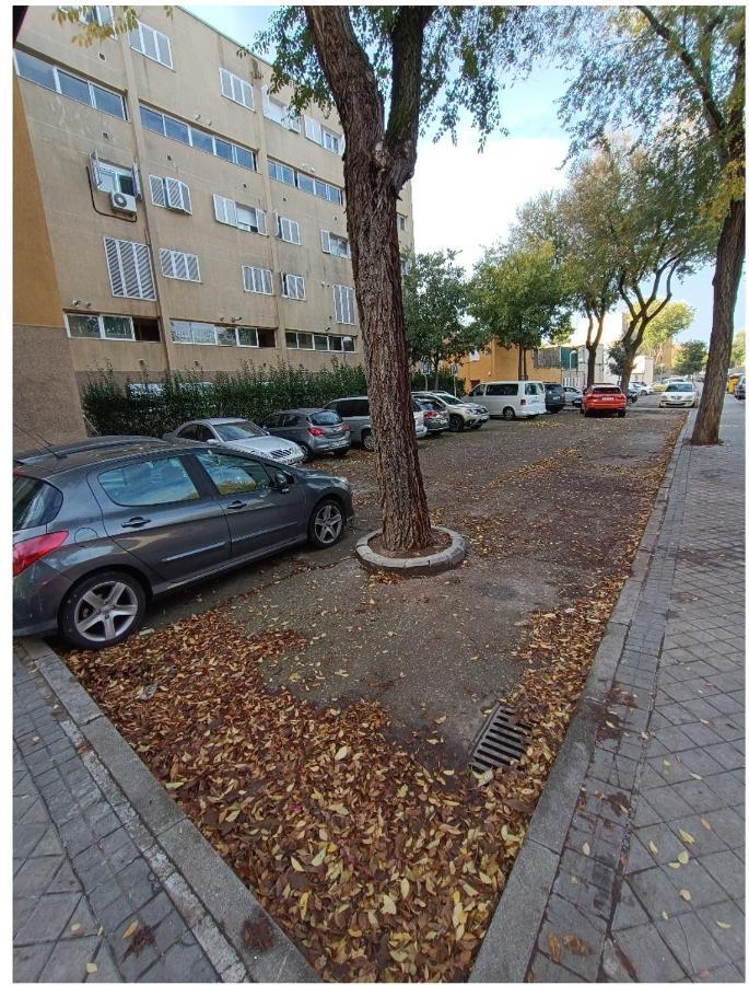 Amplia En Vivienda Duplex Madrid
