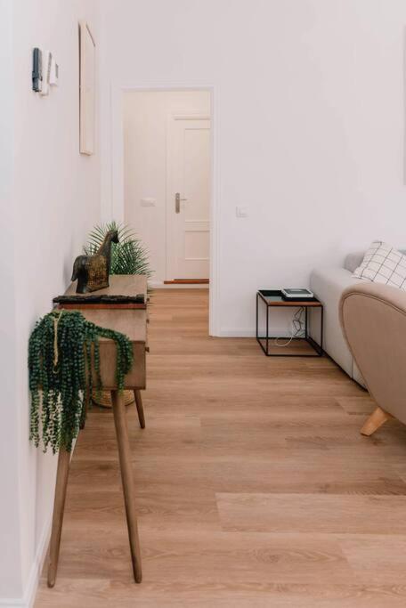 Stylish In The Centre Of Madrid-malasana