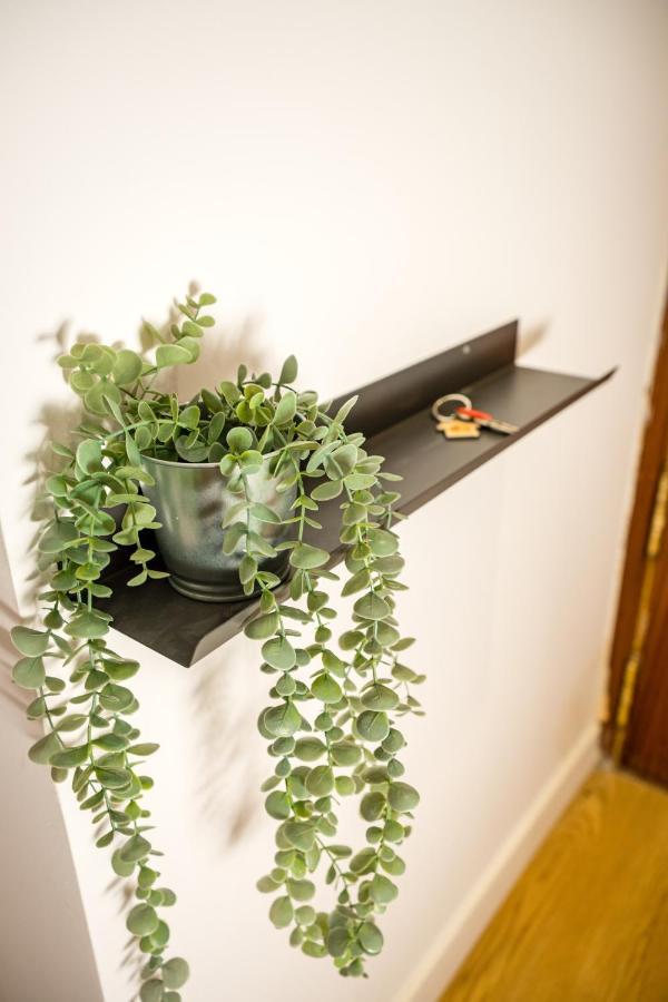 Encantador Lugar En Cuatro Caminos By Bebalmy Appartement *