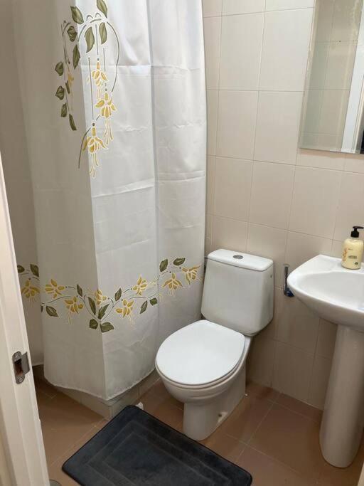Silencioso, Luminoso Y Familiar Apartamento Appartement *