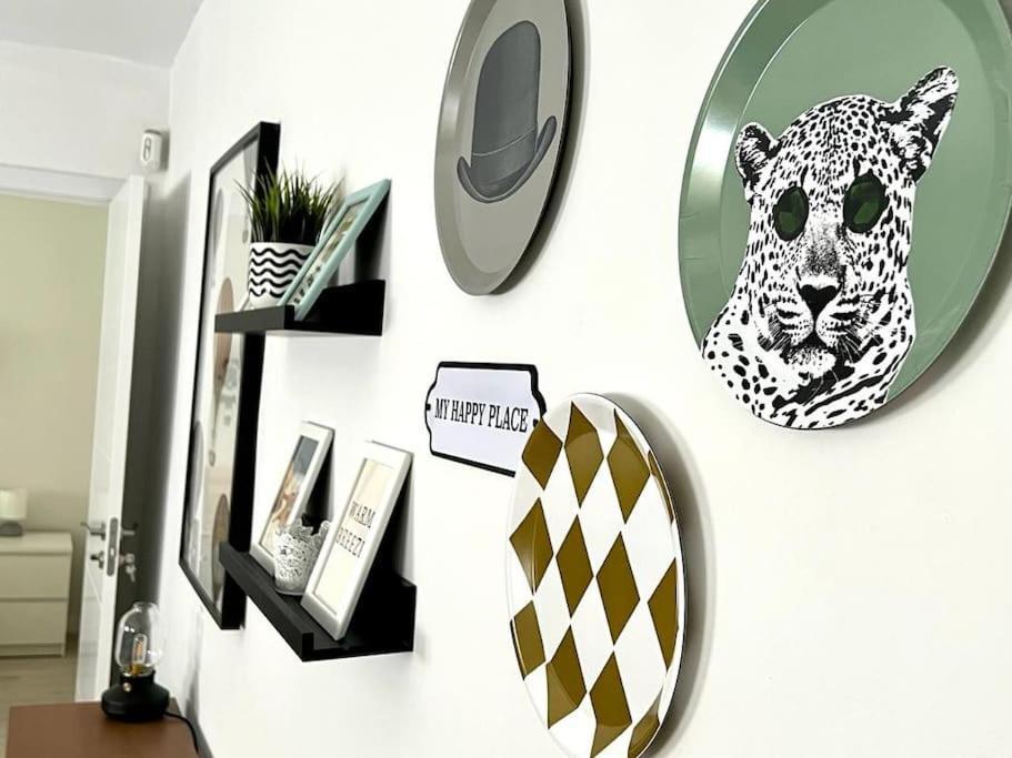 Comodo Y Acogedor Apartamento
