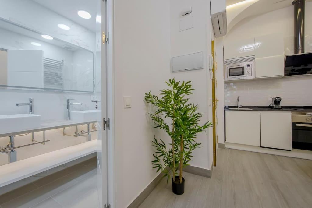 Suara 2 Apartment Madrid