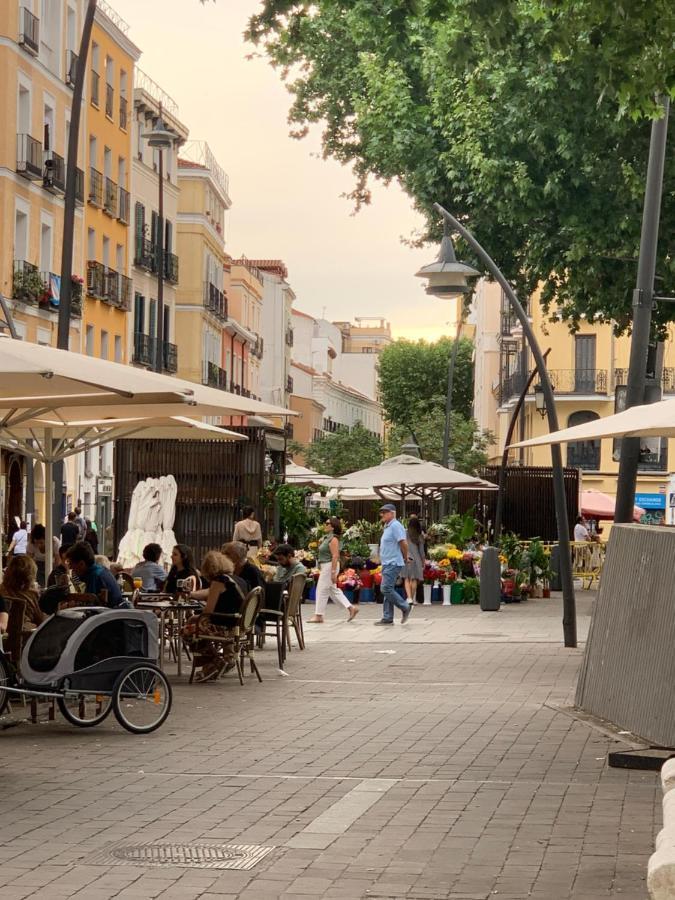 Tirso De Molina Madrid