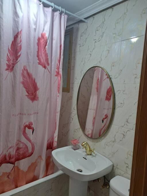 Appartamento Piso Amplio Y Acogedor