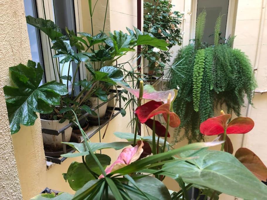 Appartement Ribera De Curtidores 33, Rastro-puerta De Toledo