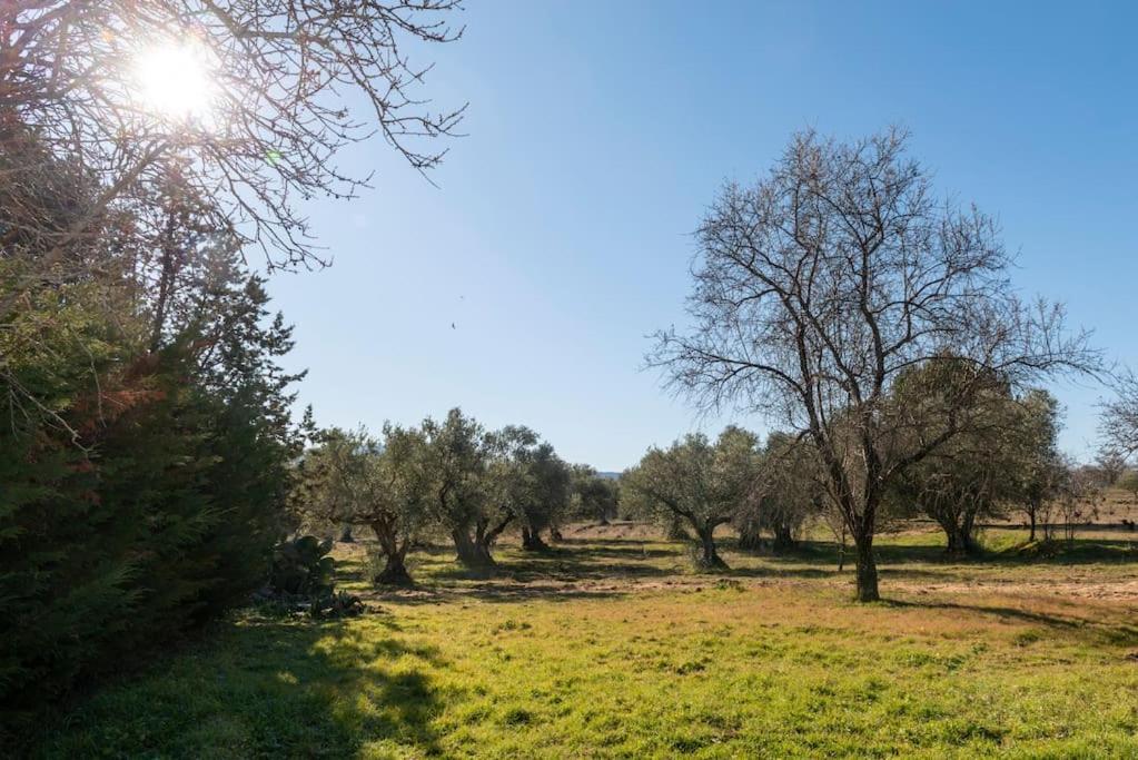El Palomar De La Vina Villa *