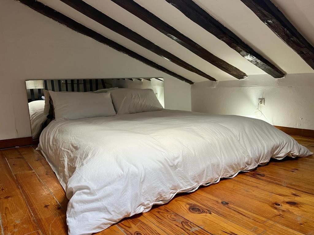 Atico Duplex Loft Lavapies *