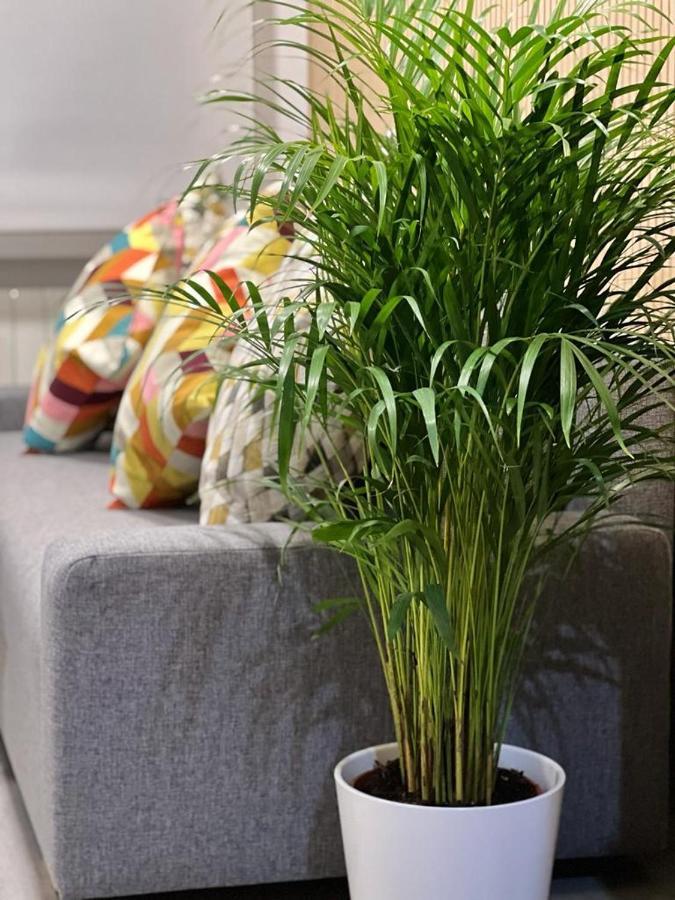 Flat Near Real Stadium Appartement *
