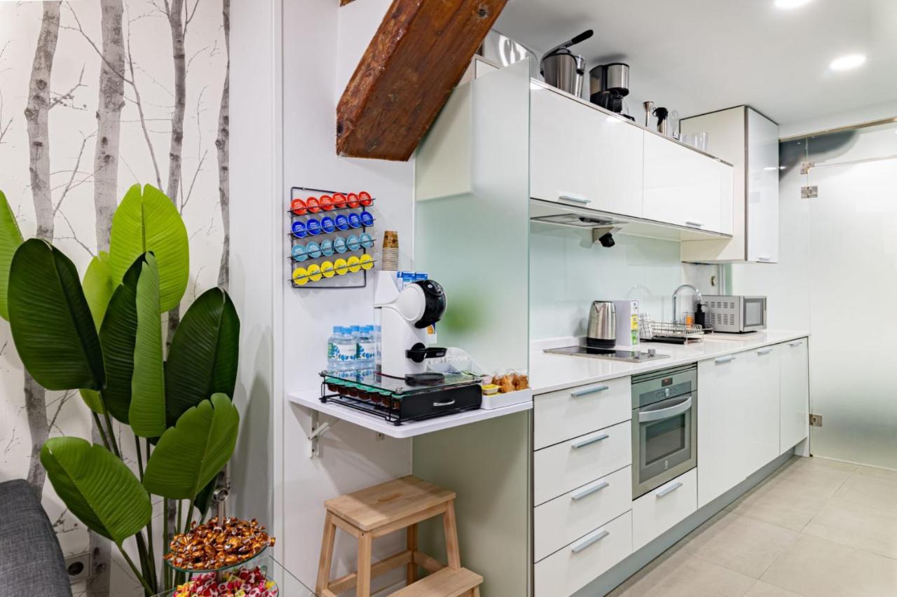 Modern Loft Near Puerta Del Sol Madrid