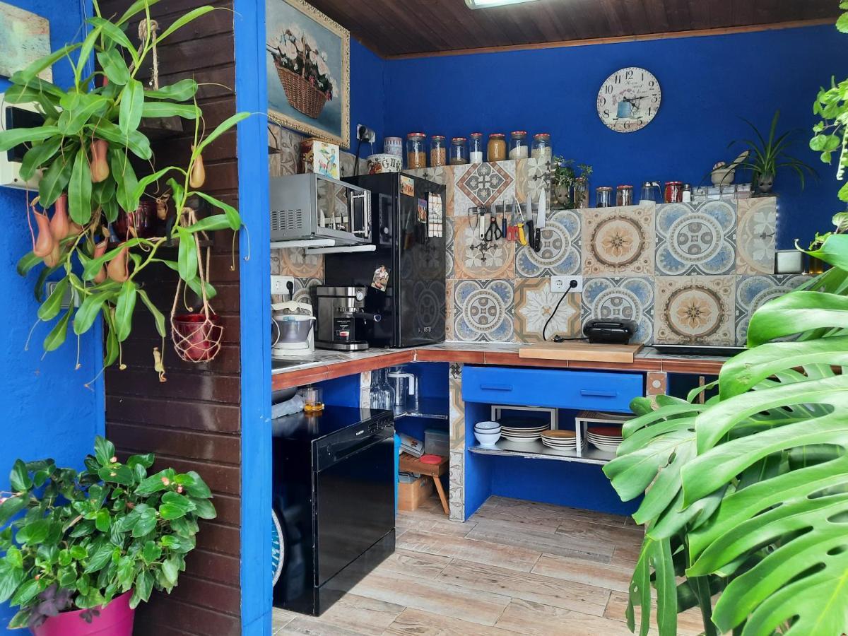 Loft Con Jardin Сasa de vacaciones *