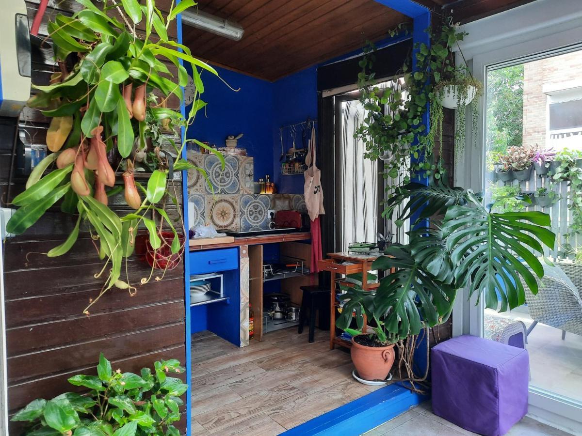 Сasa de vacaciones Loft Con Jardin
