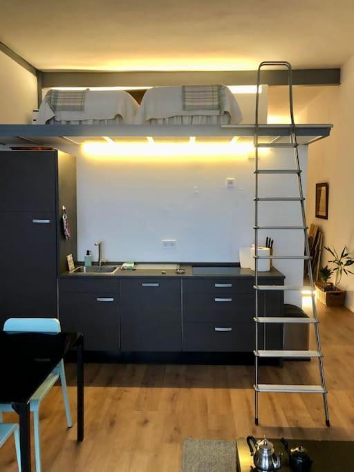 Beautiful Loft With Terrace 6 Pers. Cal Apartment *