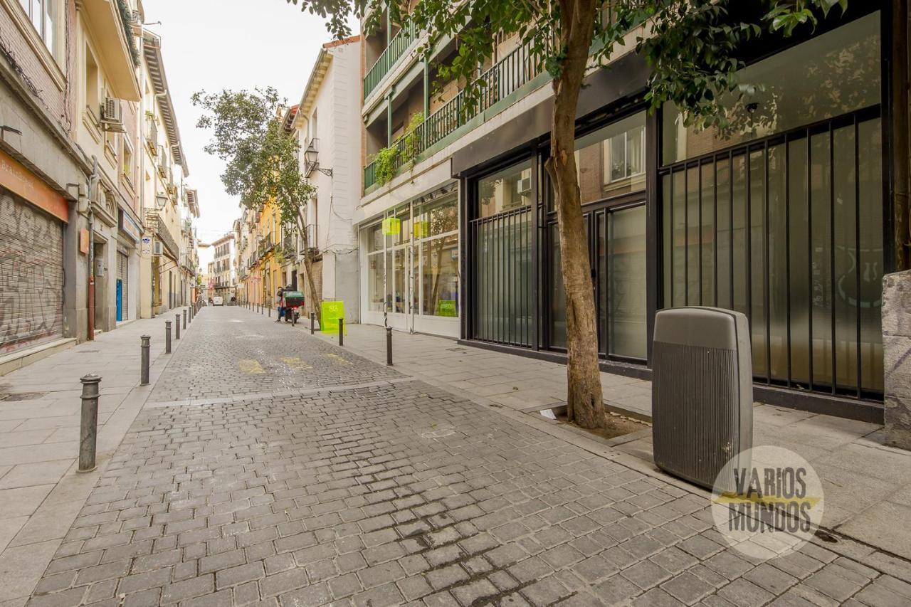 Apartamento Central&modern Apt 4hab 9 En La Latina/rastro