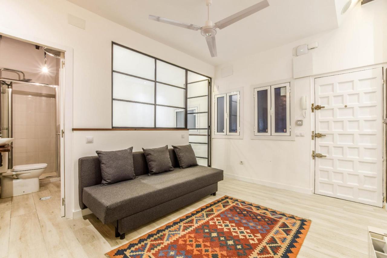 Apartamento En Anton Martin Apartment Madrid