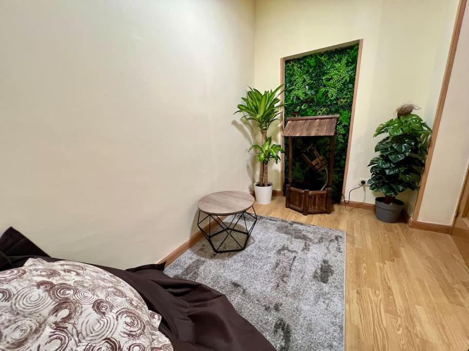 Acogedor Apartamento Centro Apartamento Madri
