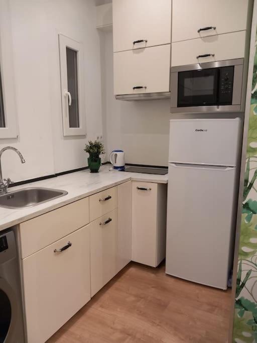 Apartment Bonito Estudio En Centro *