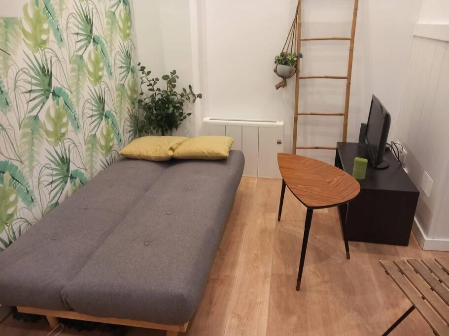 Apartment Bonito Estudio En Centro *