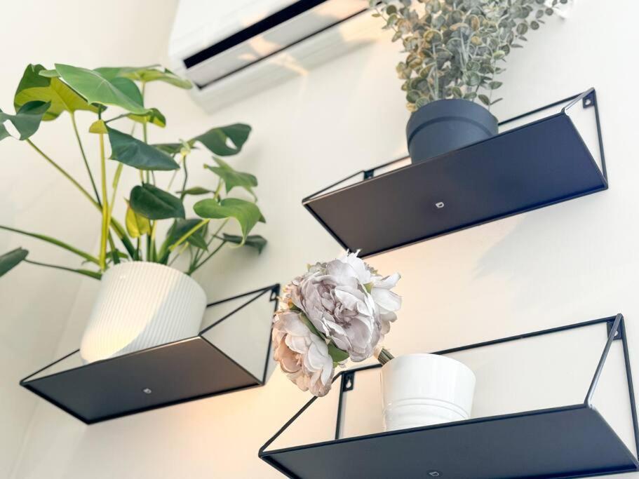 Apartment Cozy In The Heart Of Chueca *
