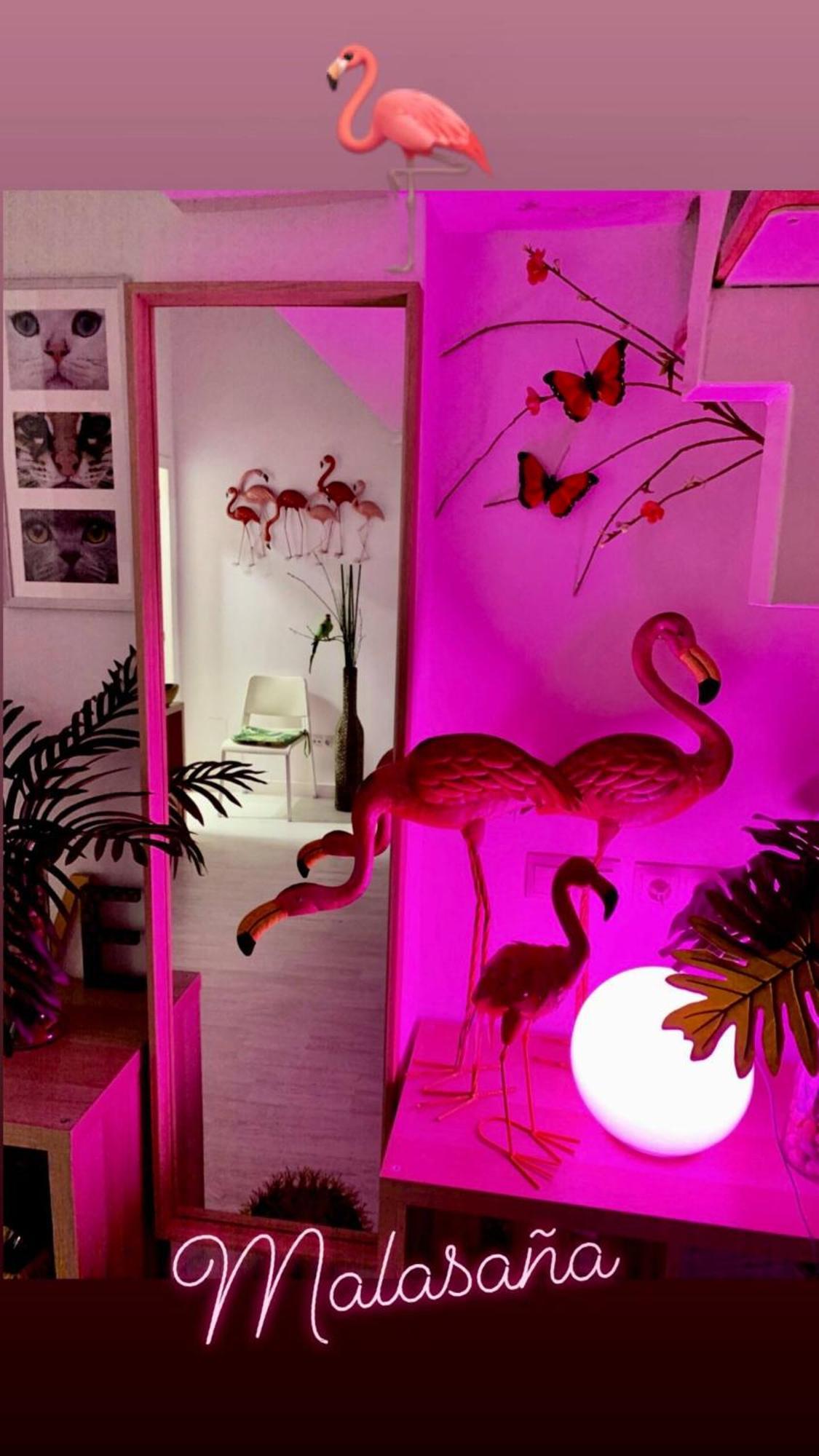 Flamencos, Malasana Loft 45mq Appartement