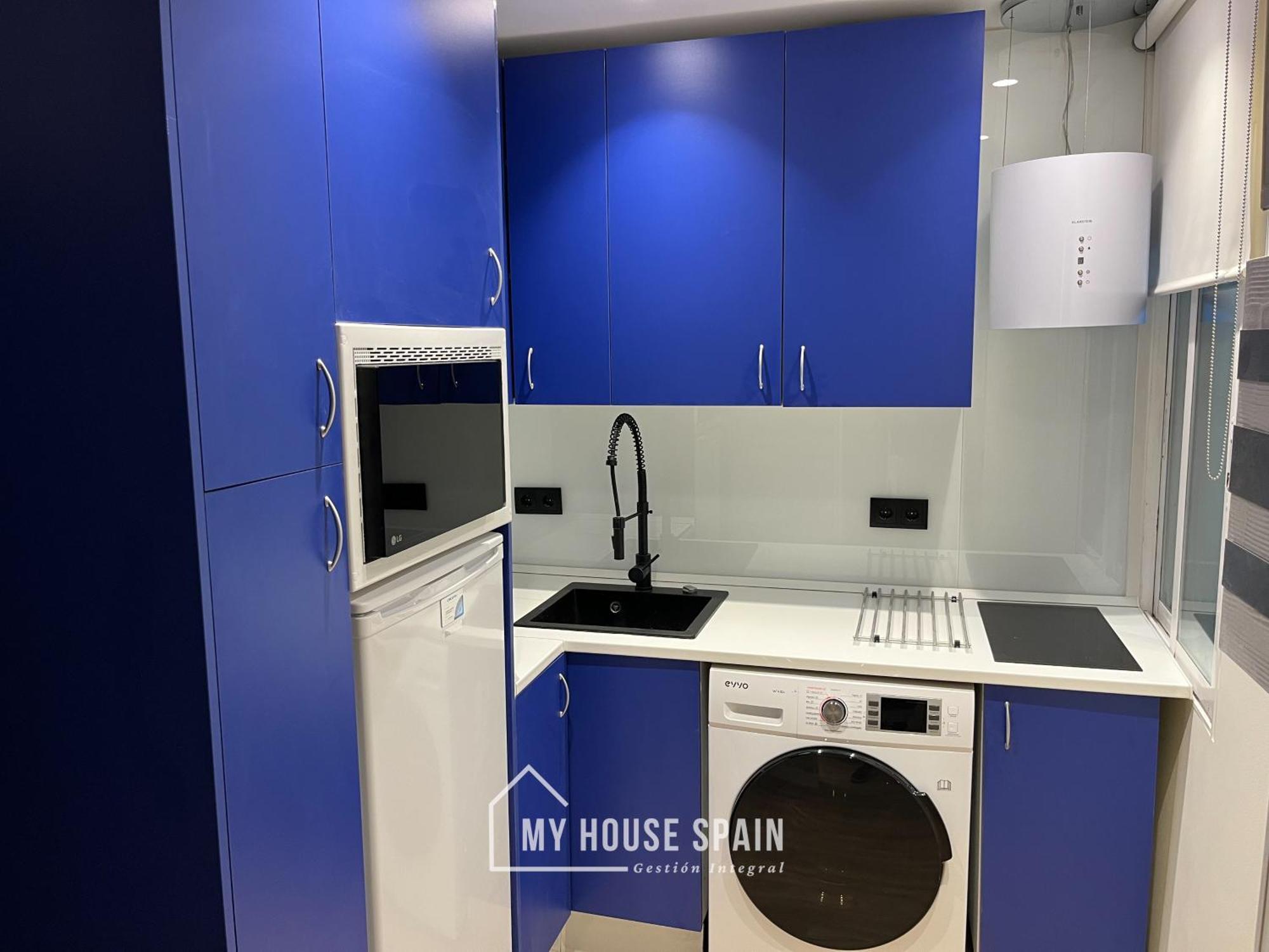 Myhousespain - Radiante Apartamento En Lavapies