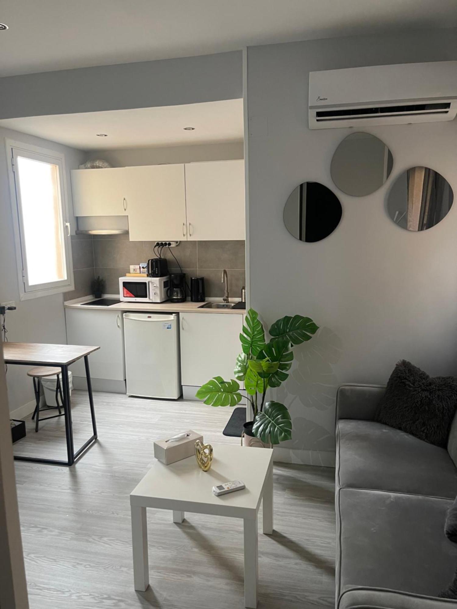 Cenral Renovated Flat Madri