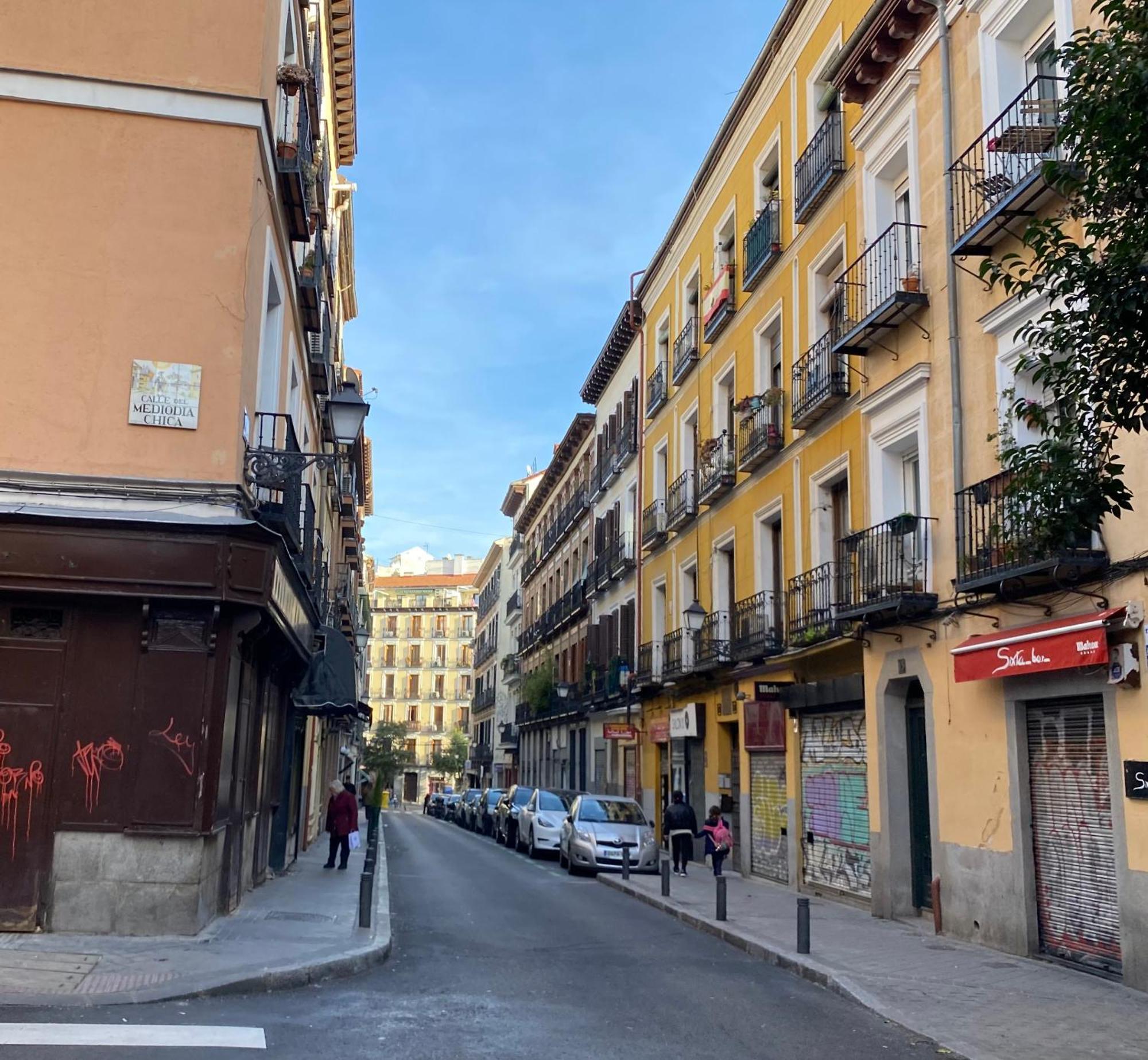Apartamento Paloma-la Latina *