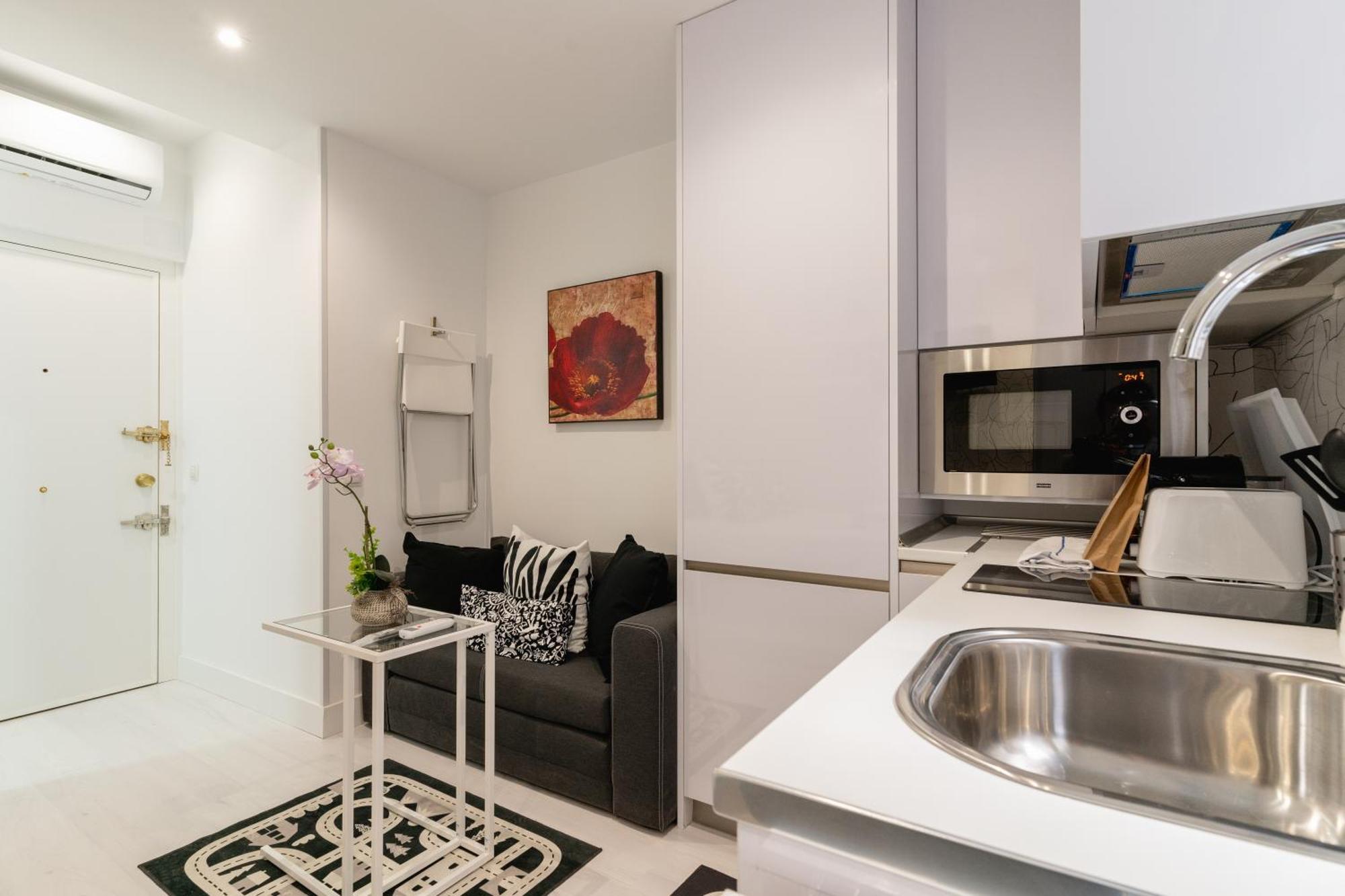 Modern Studio-1bathroom-chueca Apartment Madrid