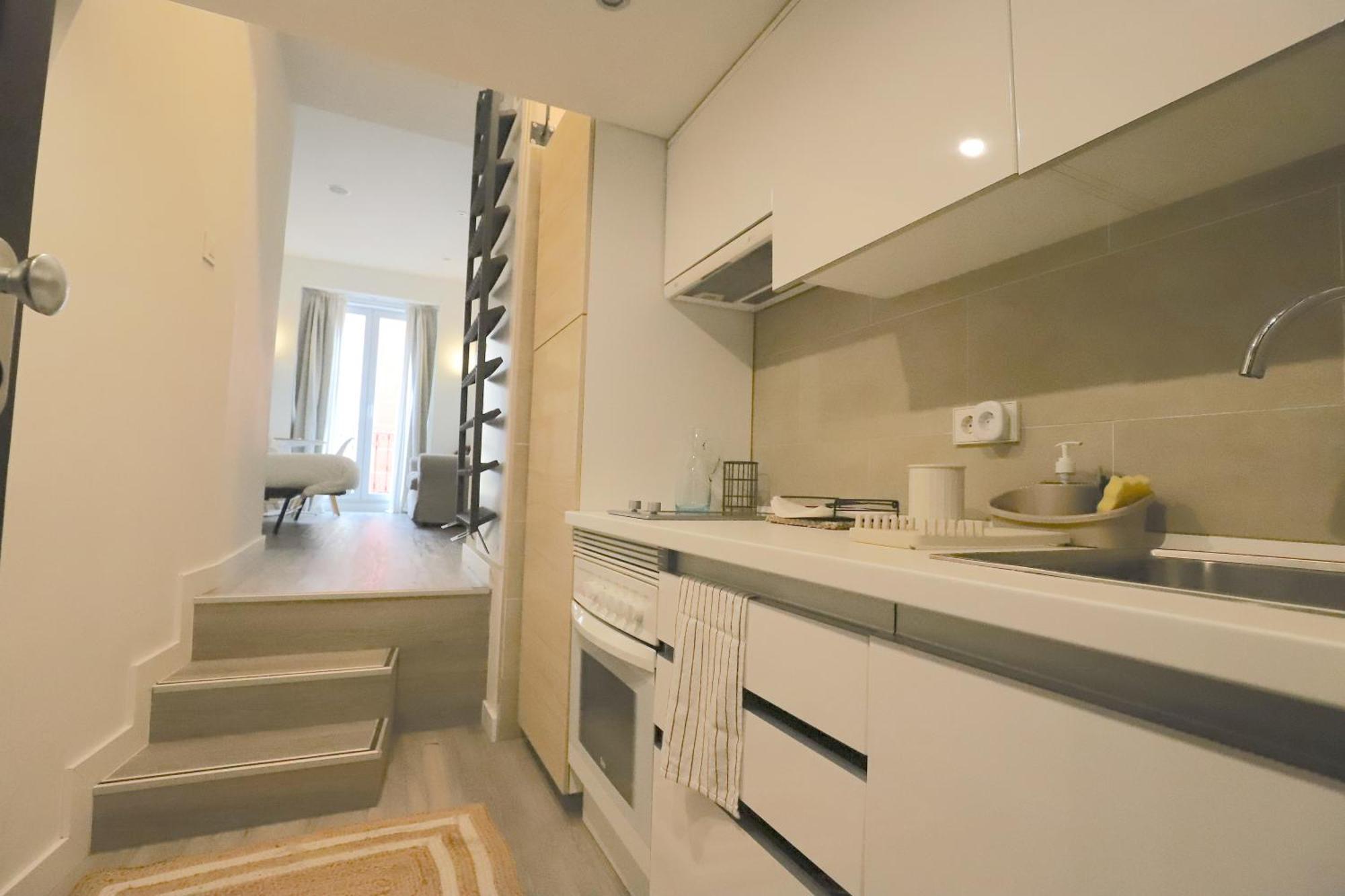 Apartamento Estudios Plaza Comendadora Madri