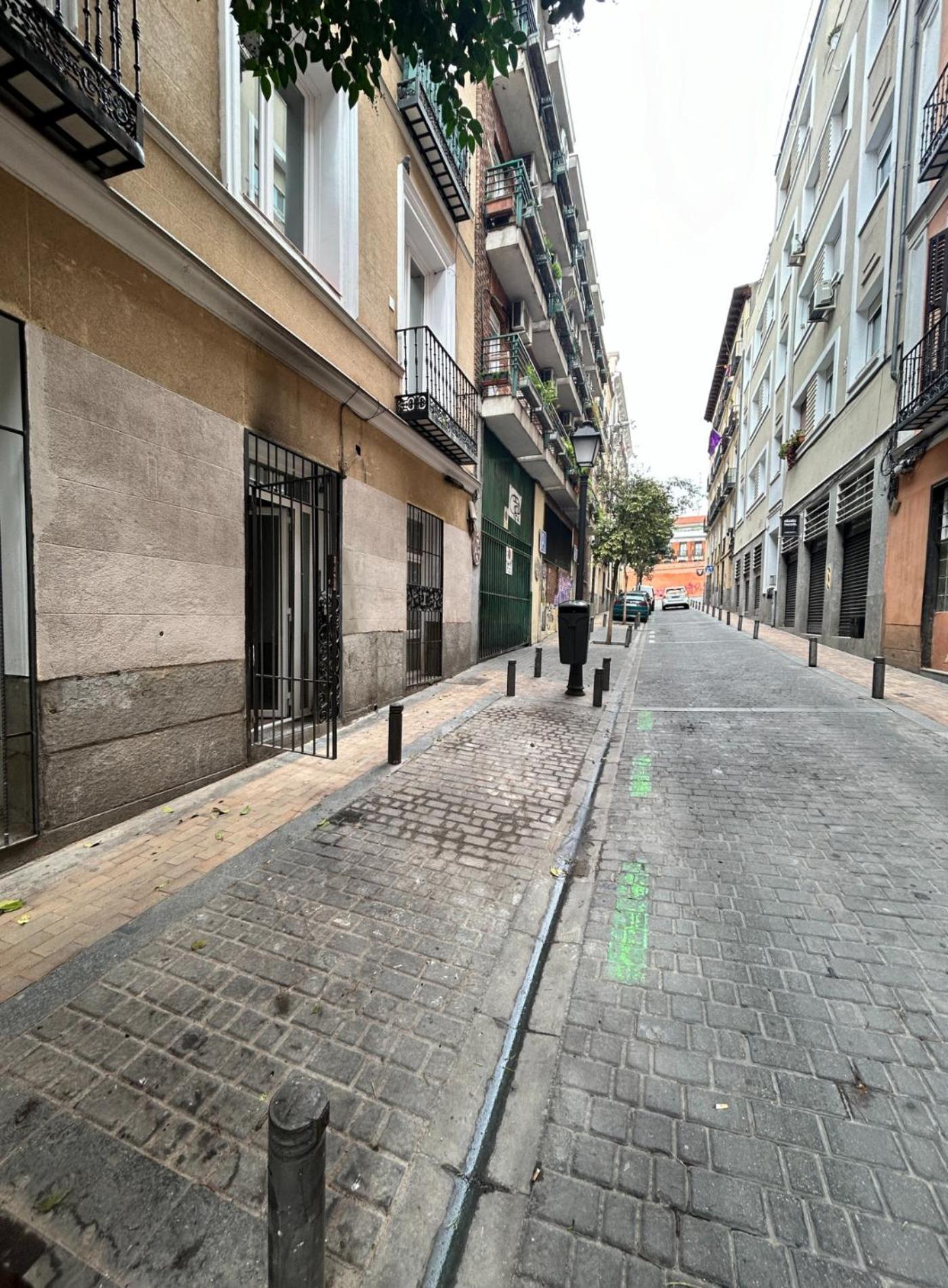 Appartement Sunny 9pax 4 En Minas-malasana E3 Madrid