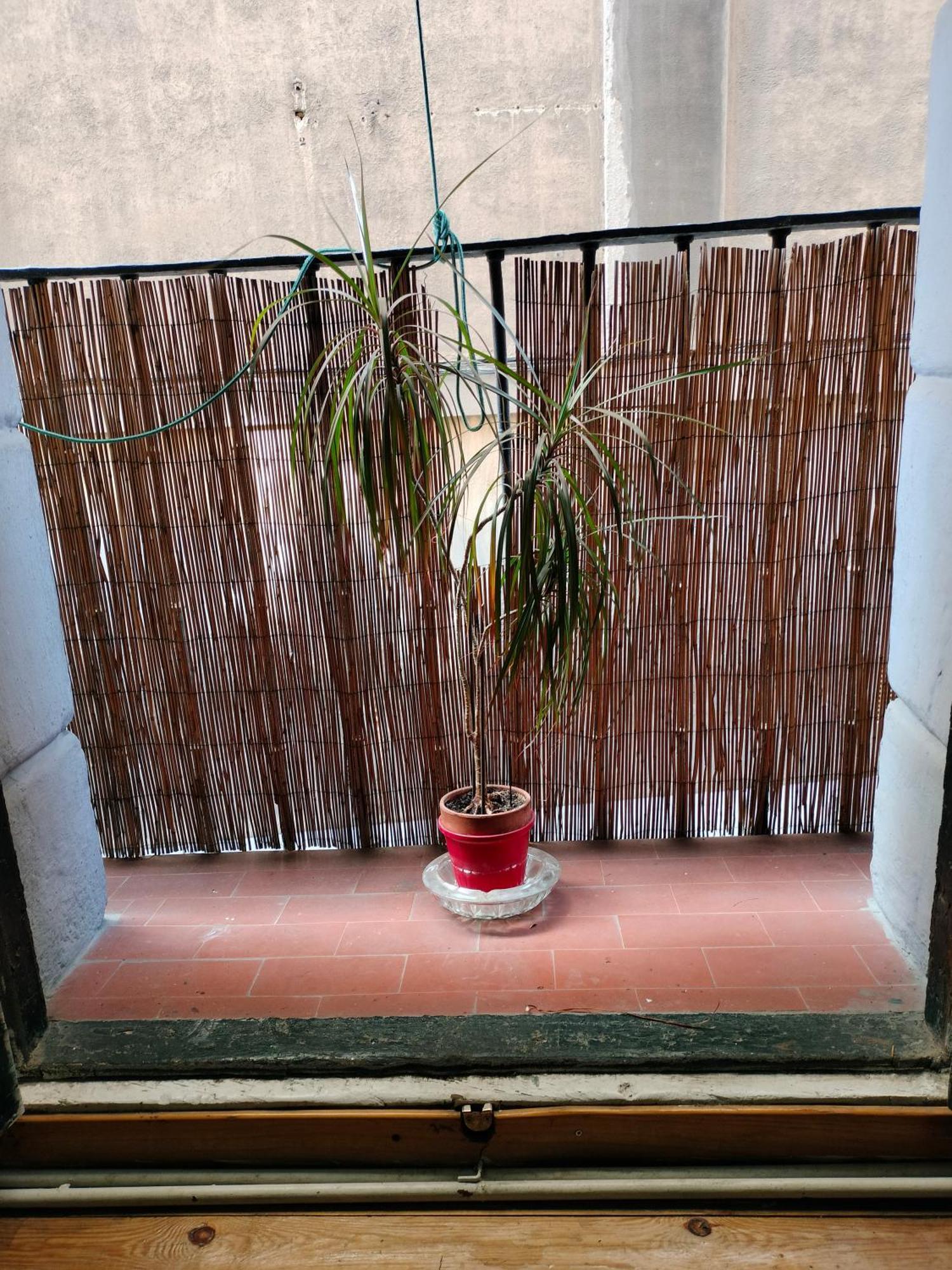 Gran Con Balcon En Tirso De Molina Habitación en casa particular