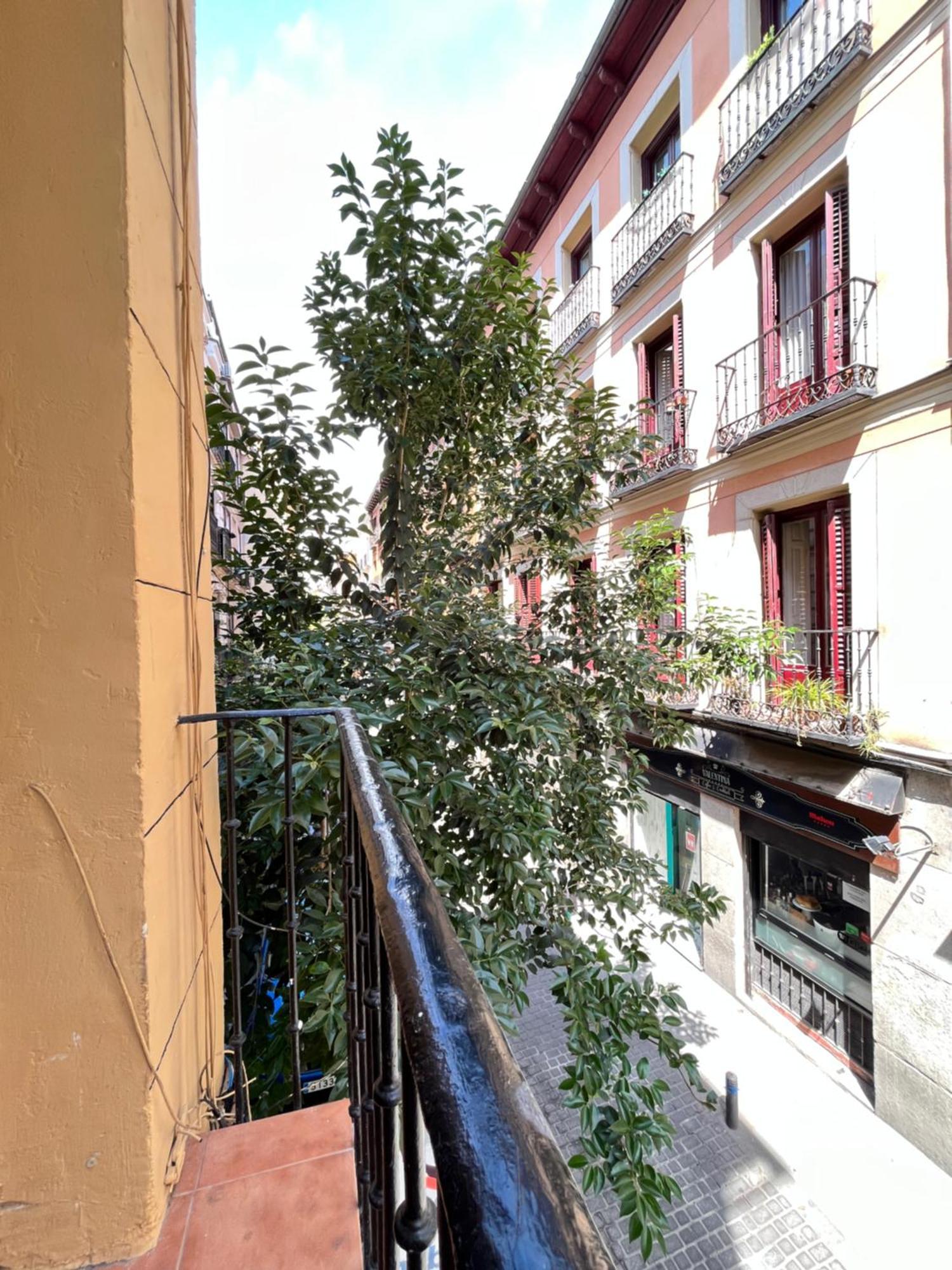 Entero Chueca Apartamento
