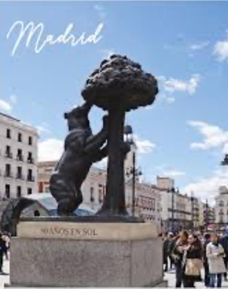 Puerta Del Sol House Appartement Madrid