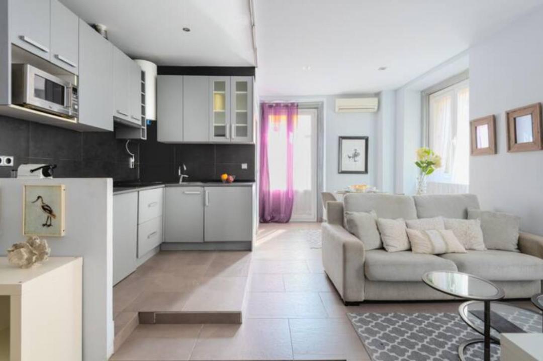 Modern And Bright- 1bd 1 Bth Furnished- Sol In Downtown Area * Madri