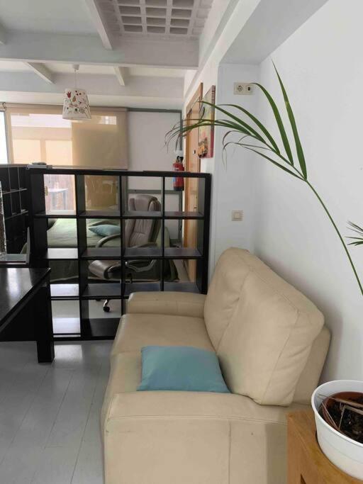 Studio-loft Con Terraza