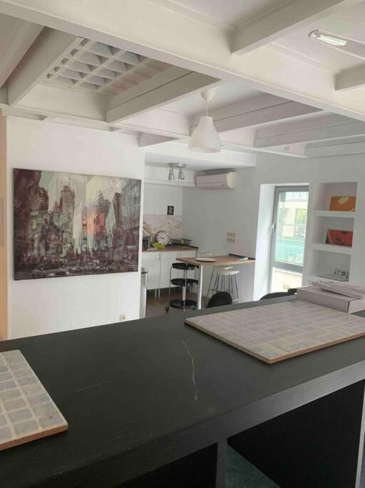 Studio-loft Con Terraza Appartamento *