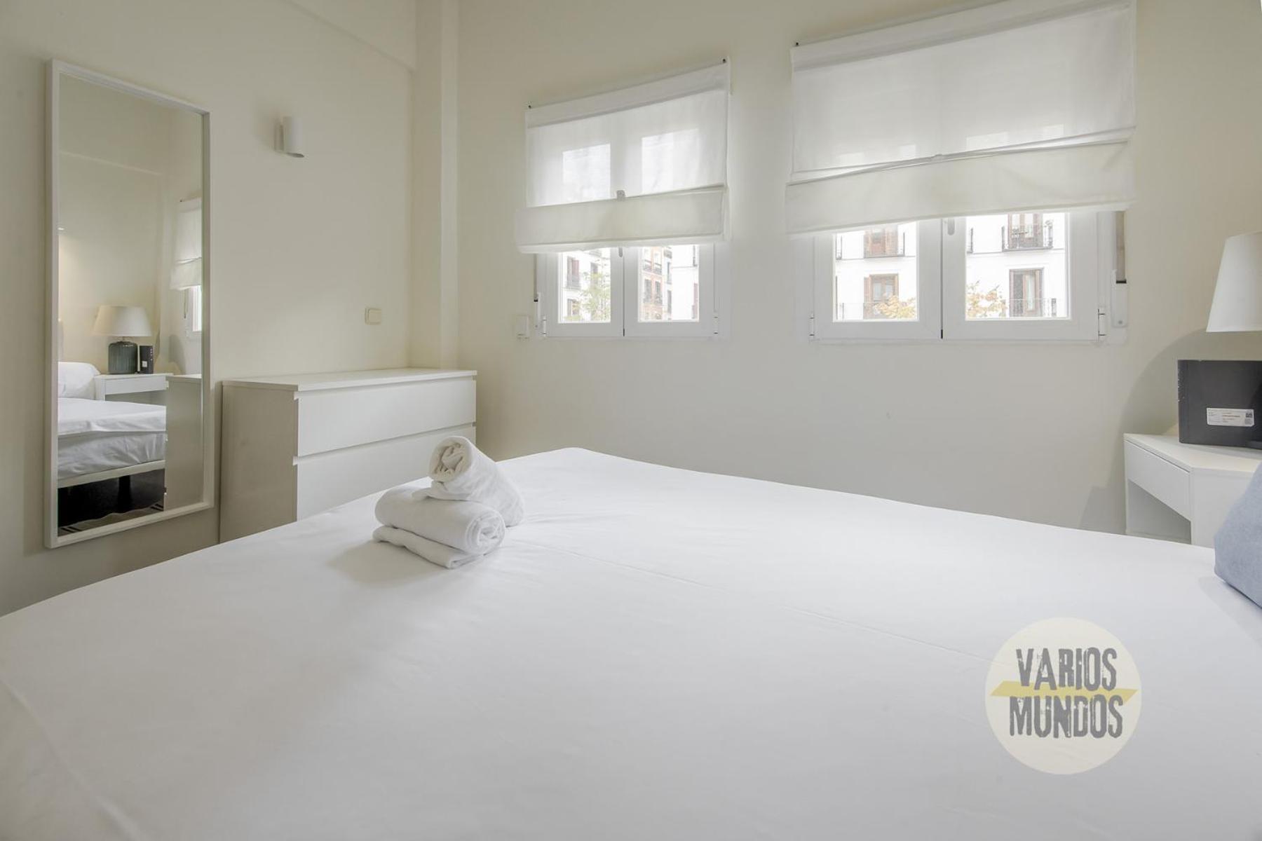 Apartment Nuevo Loft 1hab 3pax En Plena Plaza De Chueca *