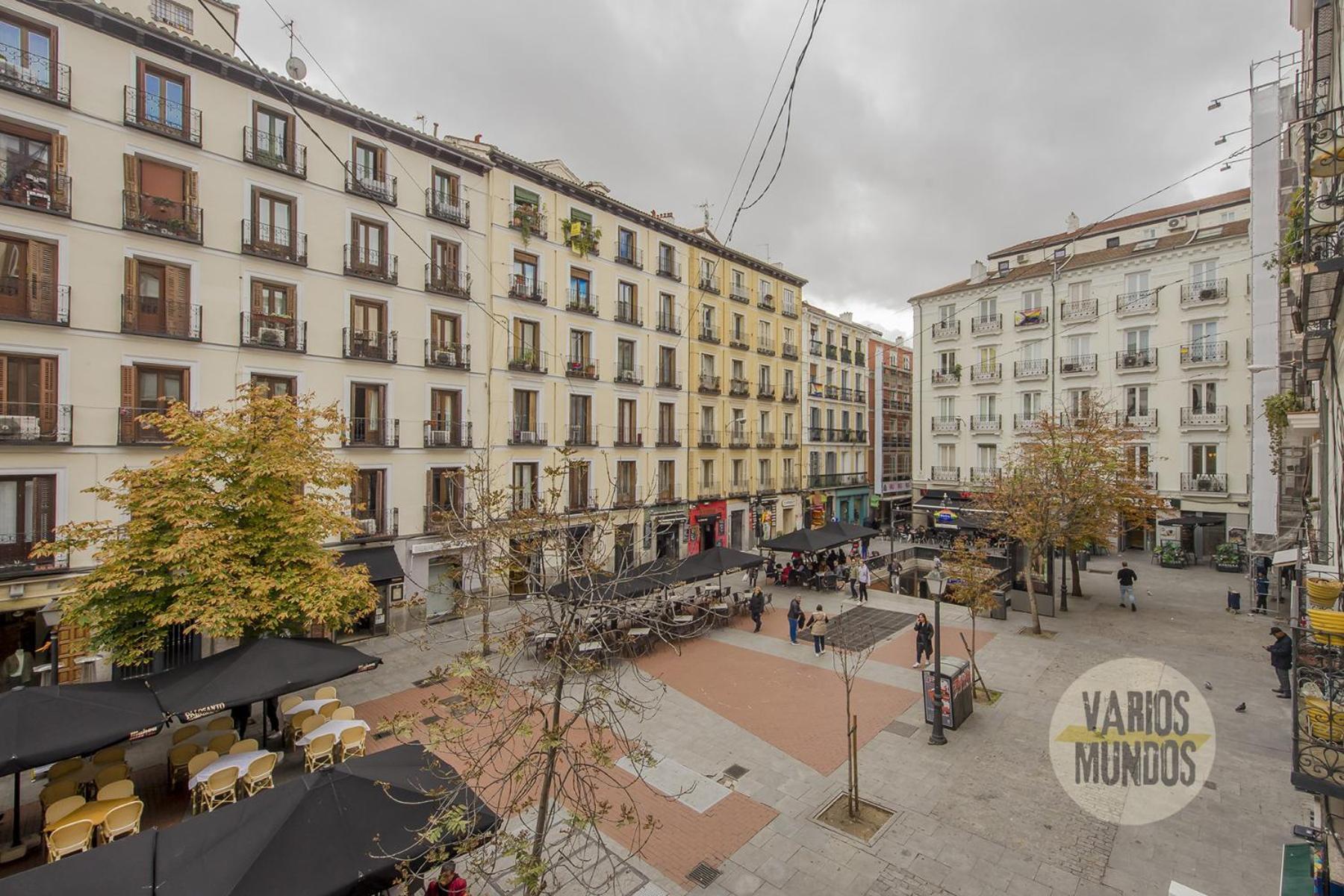 Nuevo Loft 1hab 3pax En Plena Plaza De Chueca Apartment
