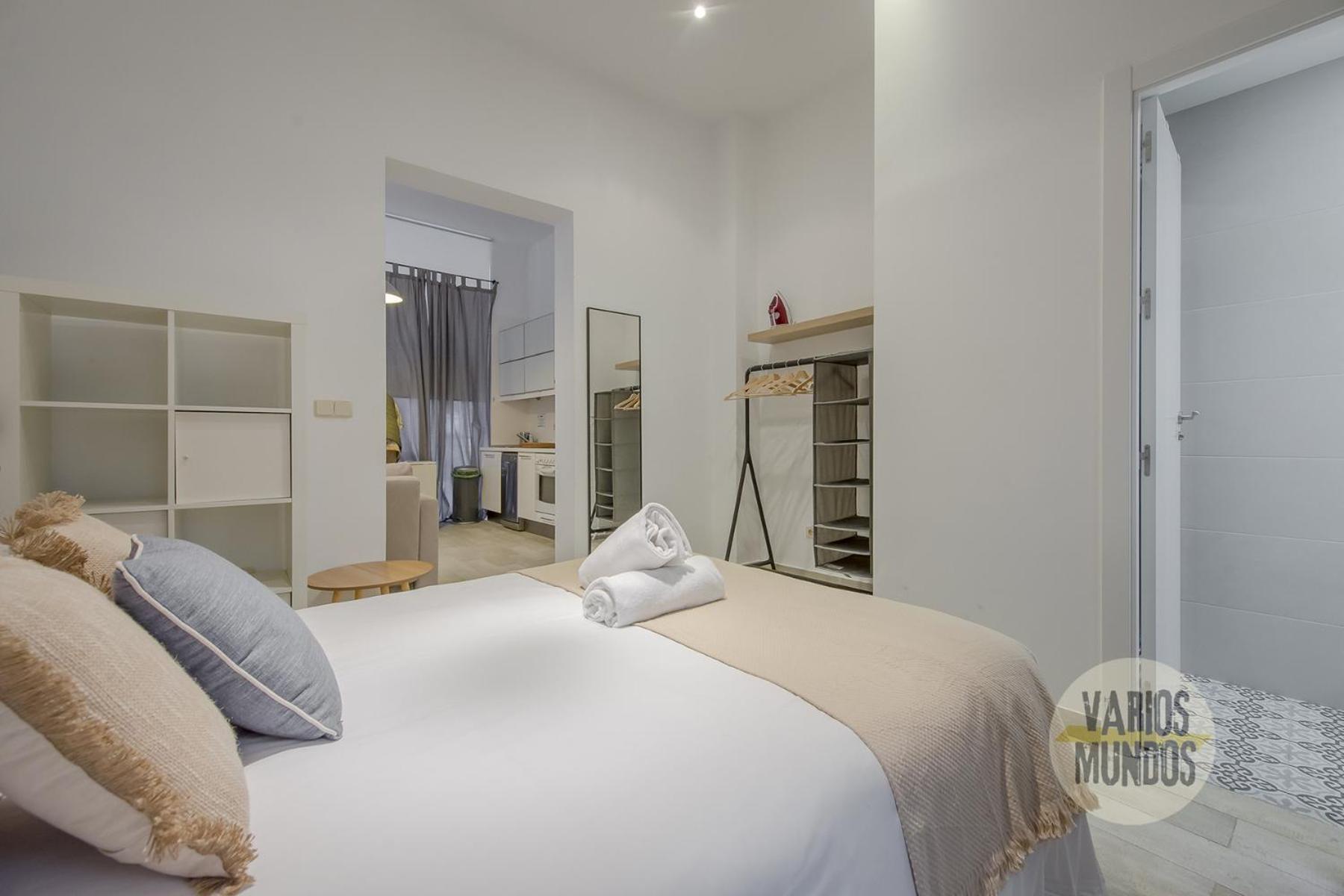 Stylish Loft With 2 Beedrooms En El Centro - La Latina E2