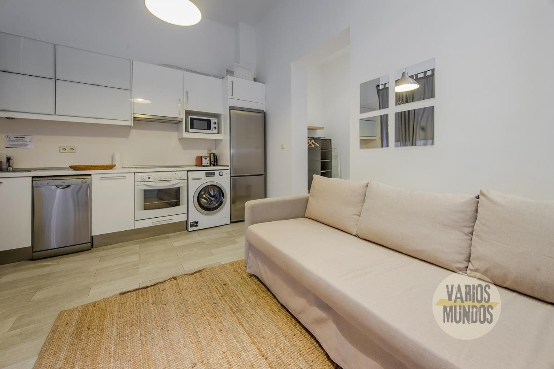 Stylish Loft With 2 Beedrooms En El Centro - La Latina E2 * Madrid
