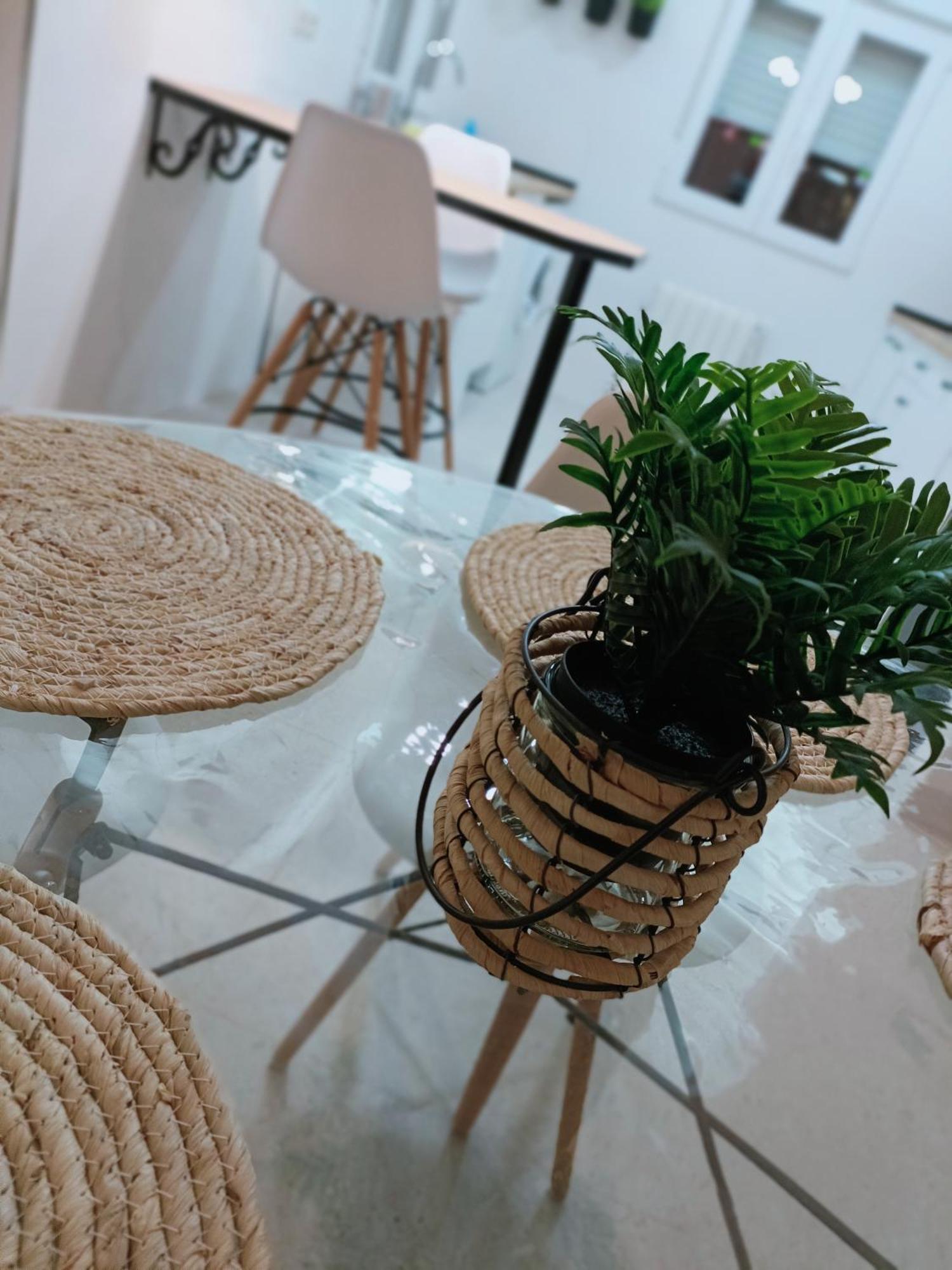 Apartamento Violeta Madrid
