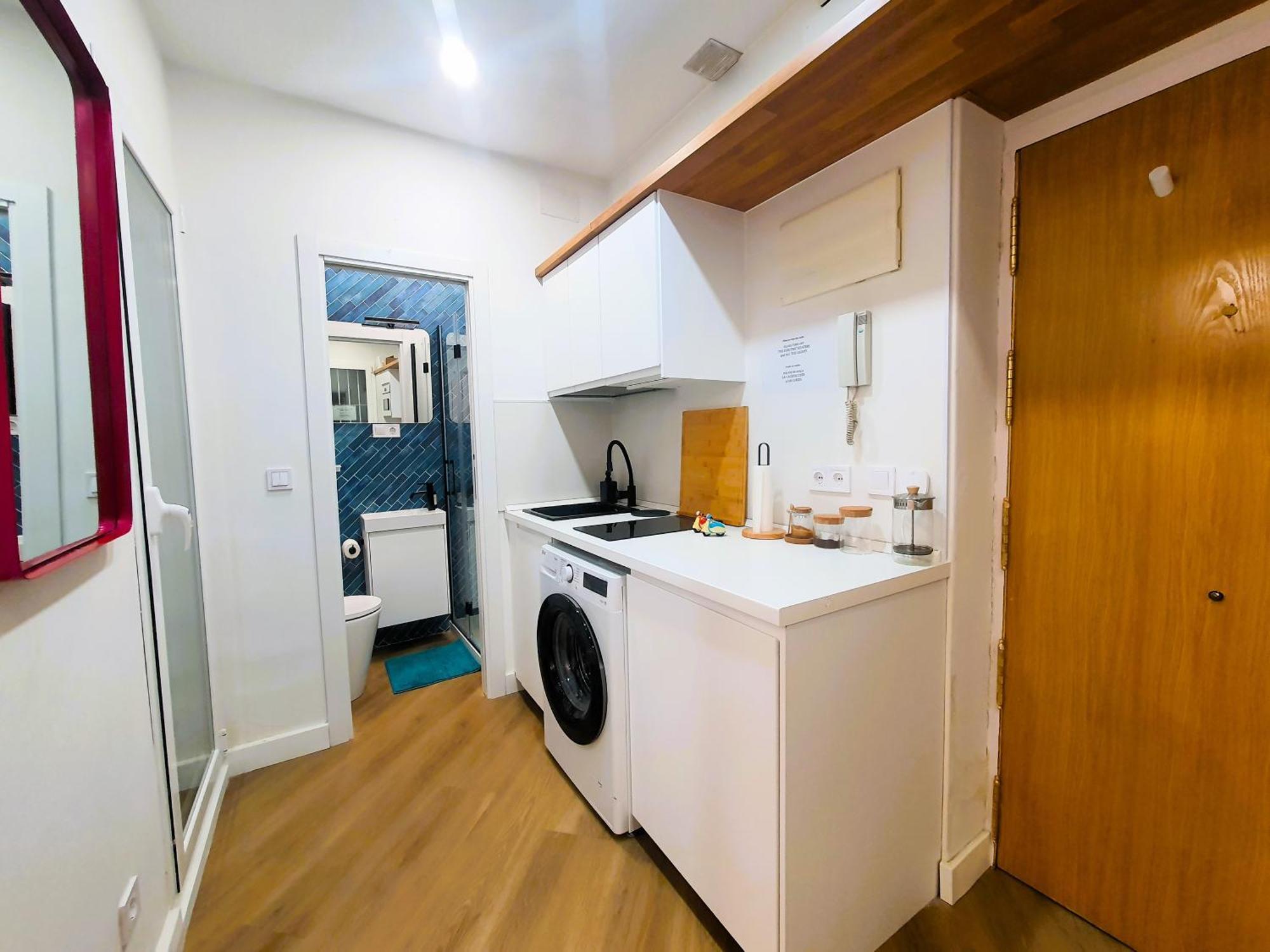 Rentadore Lavapies Studio Apartamento Madrid