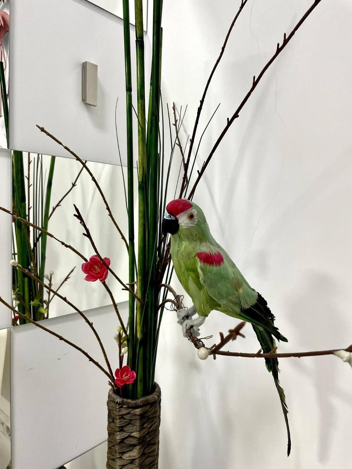 Flamencos, Malasana Loft 45mq Appartement