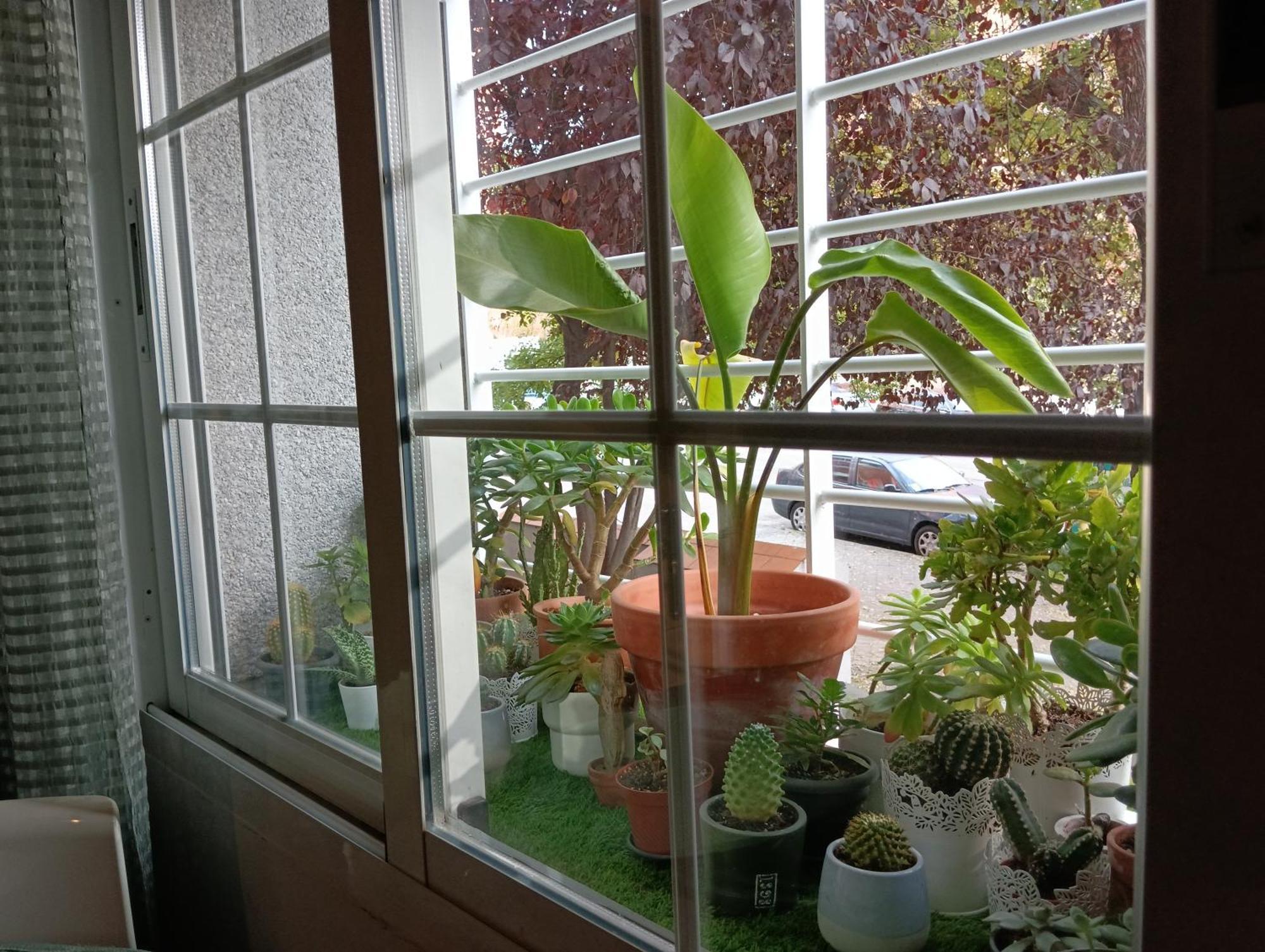 Apartamento El Pozo-villalobos *