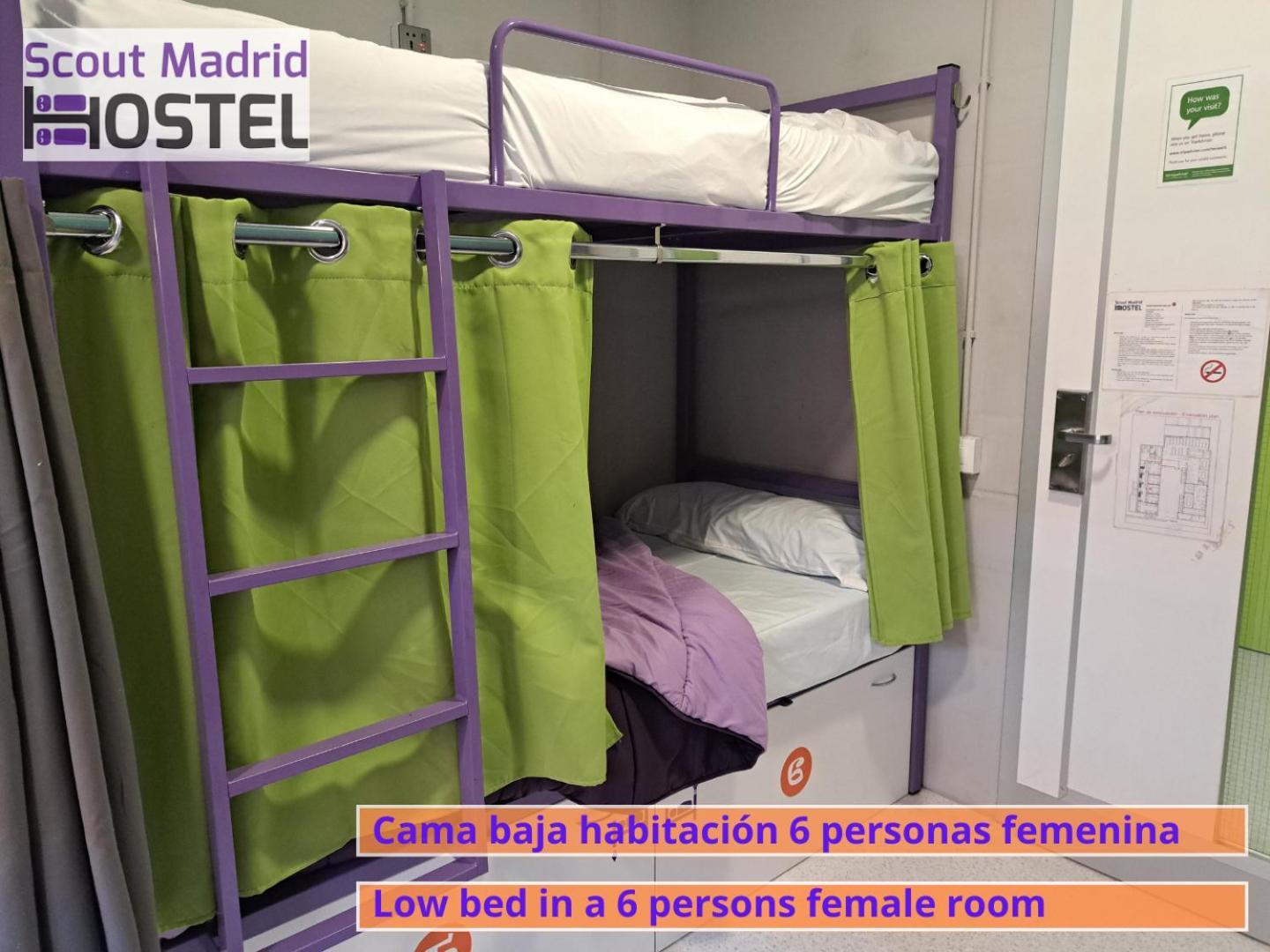 Hostel Scout