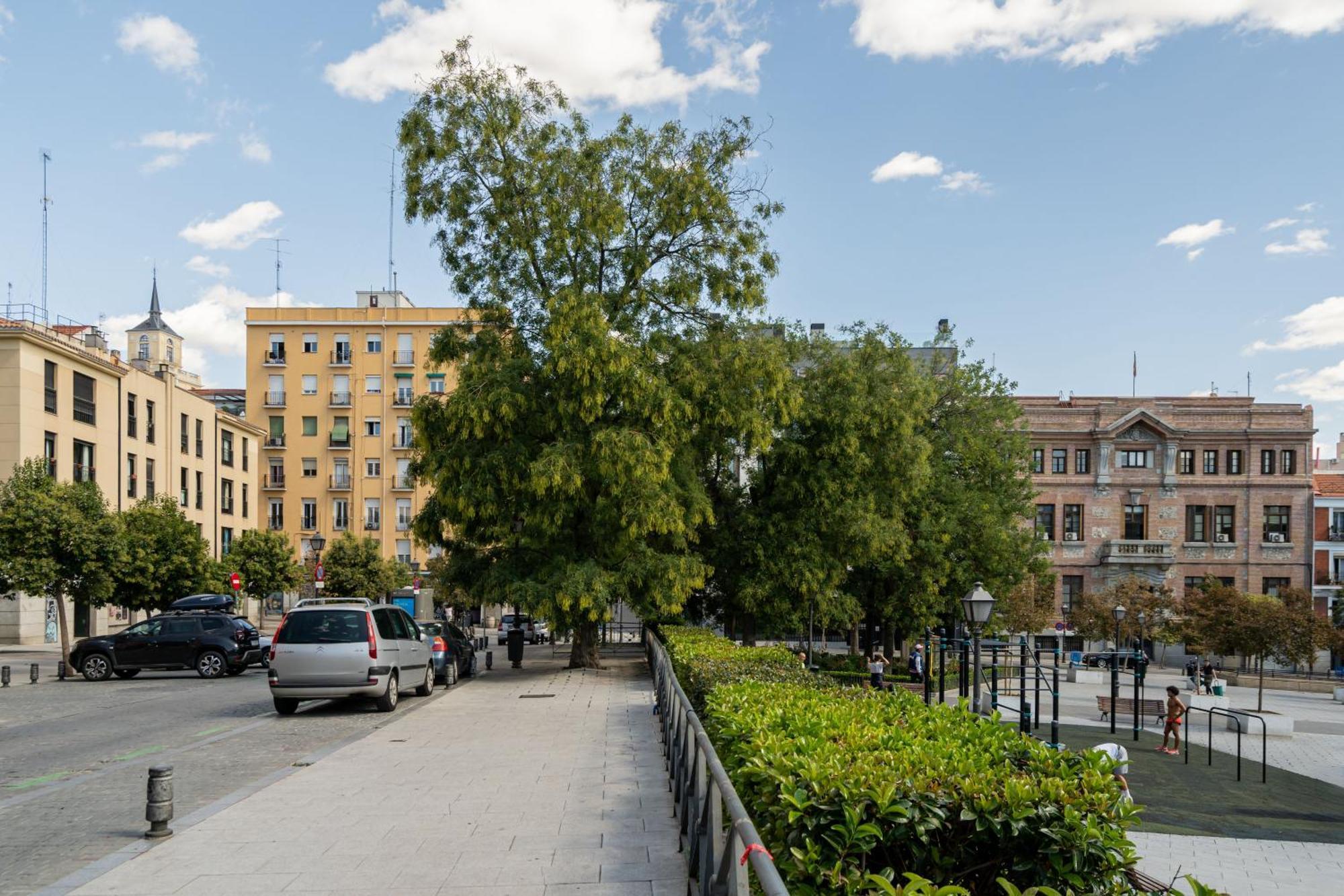Precioso La Latina-rastro Arn Apartamento Madri