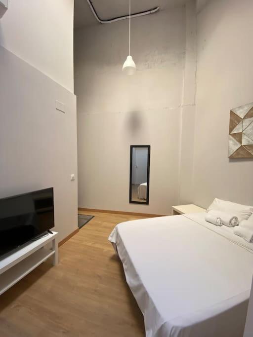 Apartment Duplex In Guindalera *