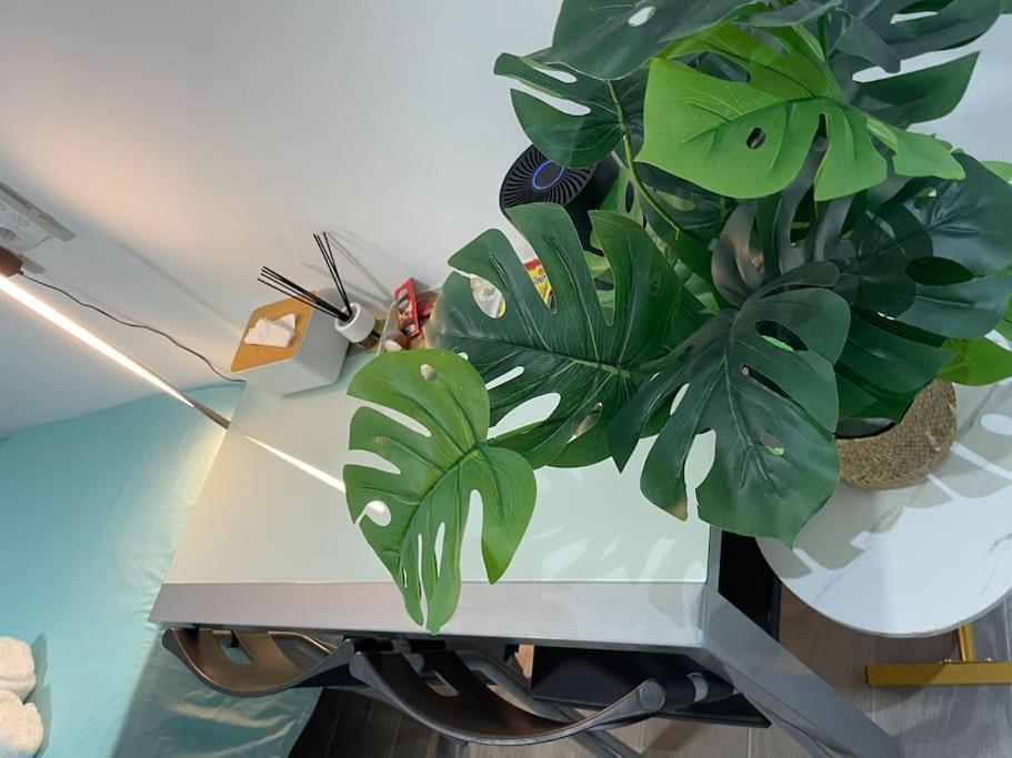 Acogedor Estudio D Junto A Metro Apartamento *